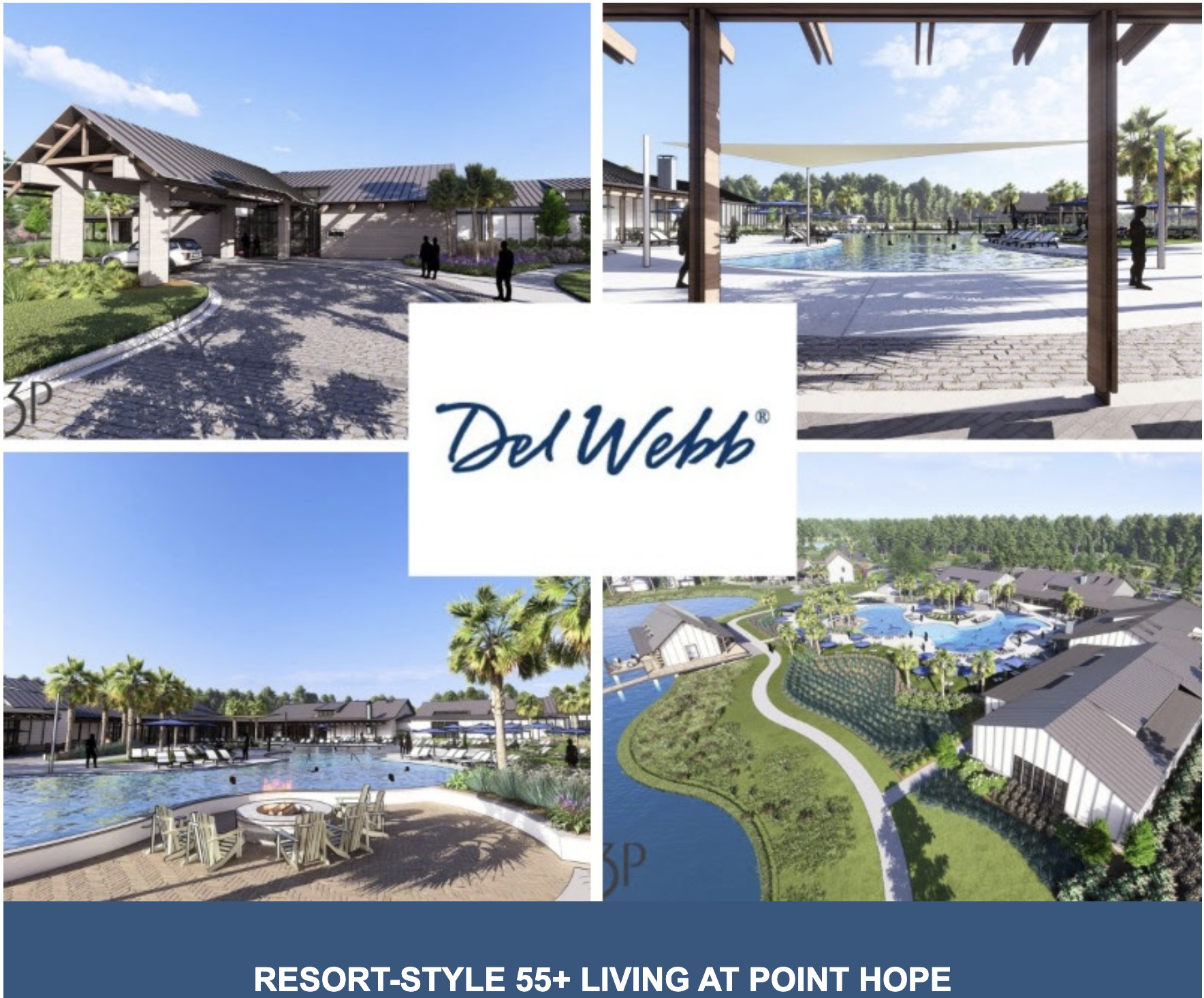 Del Webb Point Hope