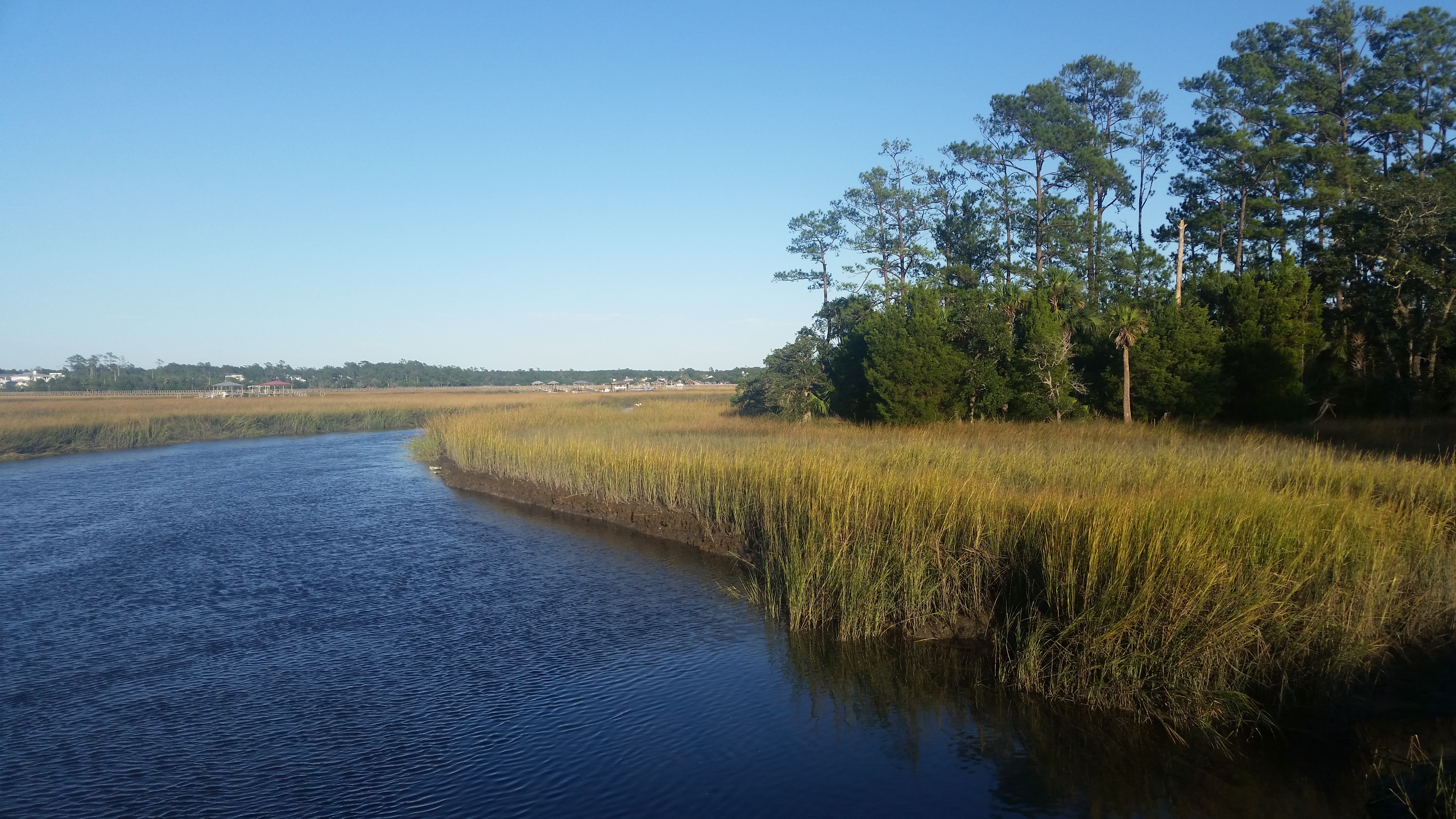 Charleston Marsh