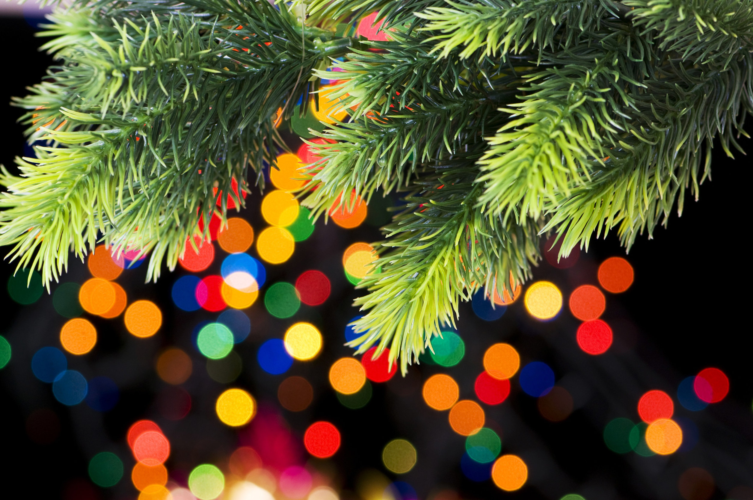 Holiday Lights