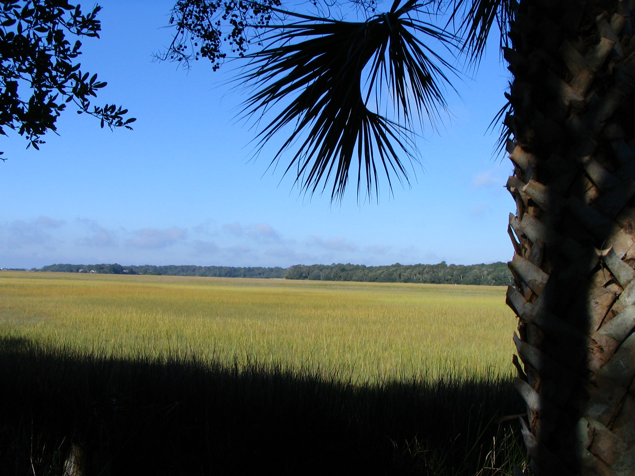 Lowcountry