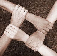 Team Effort
