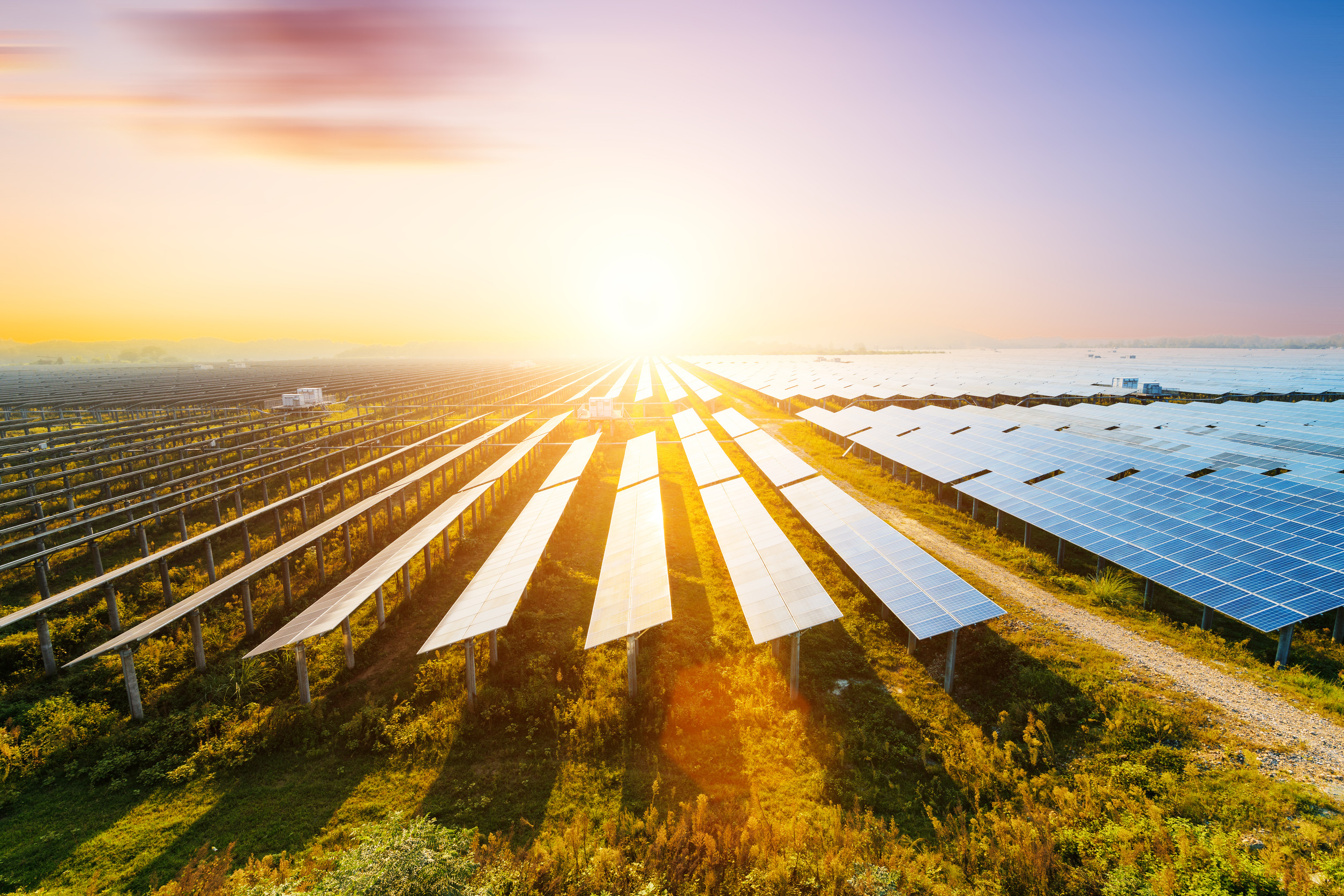 Solar Farm