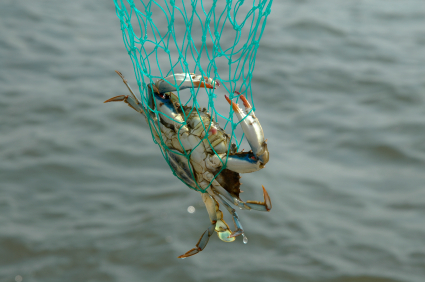 Crabbing